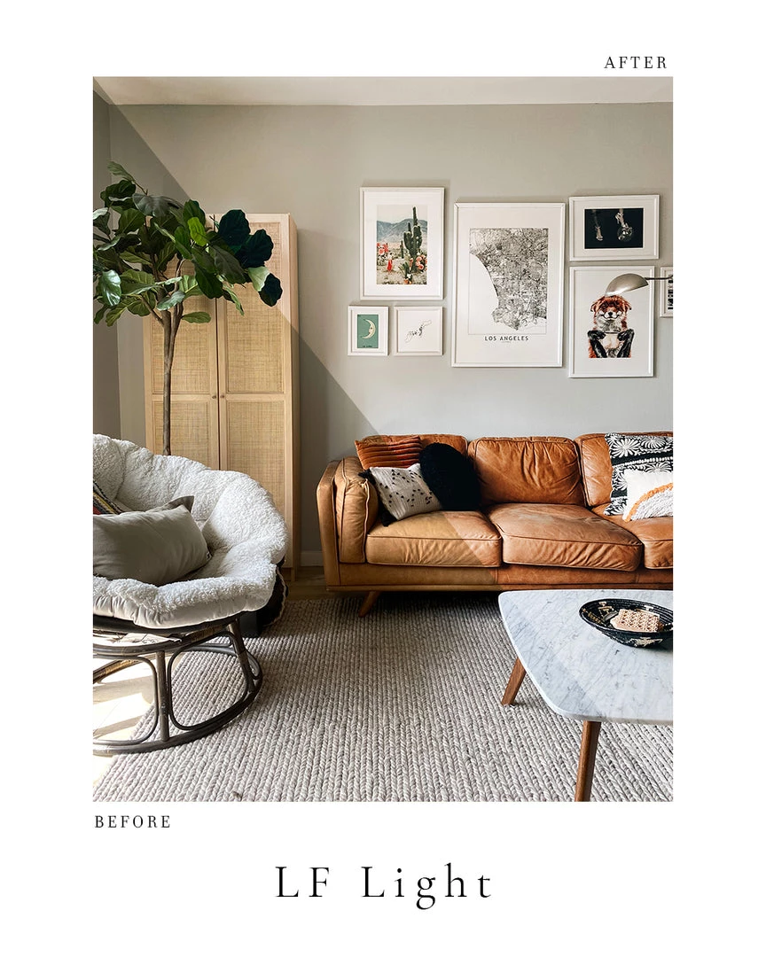 Lone Fox Photo Pack 6 Lone Fox Photo Pack