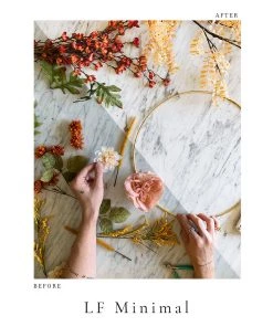 "Lone Fox" Photo Preset Pack -Lone Fox Official Site minimalpreview 1080x1080