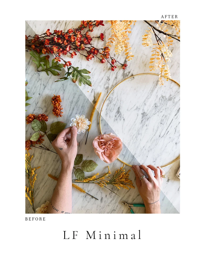 Lone Fox Photo Pack 7 Lone Fox Photo Pack