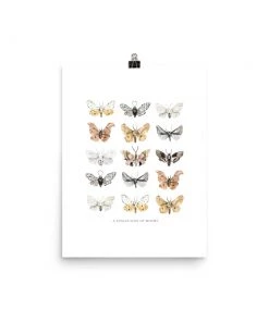 Lone Fox New Moths Art Print