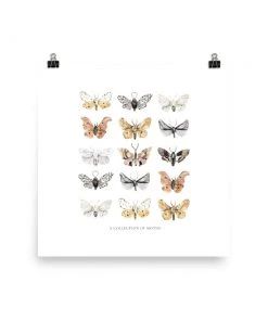 Lone Fox New Moths Art Print