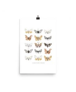 Lone Fox New Moths Art Print