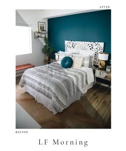 Lone Fox Photo Pack 15 Lone Fox Photo Pack