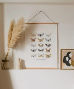 Lone Fox New Moths Art Print
