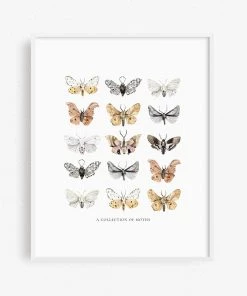 Lone Fox New Moths Art Print