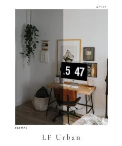 Lone Fox Photo Pack 16 Lone Fox Photo Pack