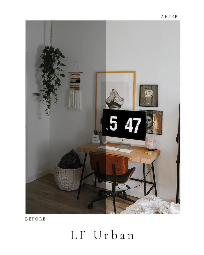 Lone Fox Photo Pack 9 Lone Fox Photo Pack