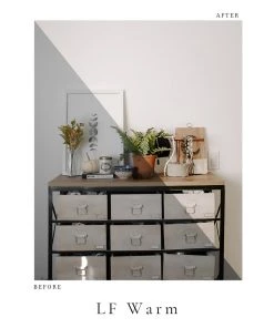 "Lone Fox" Photo Preset Pack -Lone Fox Official Site warmpreview 1080x1080